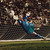 :icongoalkeeper54: