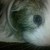 :icongoandblowyourself: