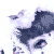 :icongoblin-kingjareth: