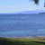 :icongod-kingtaupo:
