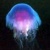 :icongod-of-purple: