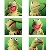 :icongodblessysl: