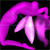 :icongoddessangelwings: