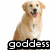 :icongoddessofdarkness13:
