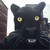 :icongodofdarkness666: