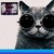:icongodpachinko: