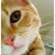 :icongodwithin: