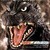 :icongodzilla2877: