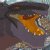:icongodzillatheseries: