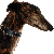 :iconGoGalGoGo: