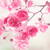 GoGetterOfAwesome :icongogetterofawesome: