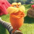 :icongogo7850: