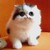 :icongogo92673: