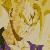 :icongohanrules: