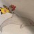 :icongohansquirtle: