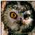 :icongoikeh:
