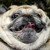 :icongolddiamond5: