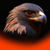 :icongolden-eagle: