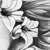 :icongolden-emerald: