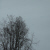 :icongoldendays:
