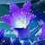 :icongoldendragon326: