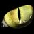 :icongoldeneyedraven: