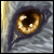 :icongoldenfirewolf: