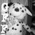 :icongoldenforestfalls: