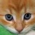 :icongoldenfur101: