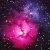 :icongoldenlotus9:
