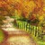 goldenPhoenix022 :icongoldenphoenix022: