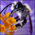 :icongoldenwapiti: