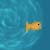 :icongoldfishlover:
