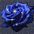 :icongoldmoon34: