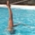 :icongolfinha:
