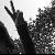 :icongolly-sandra: