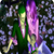 :icongomar6: