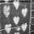 :icongonefourgood: