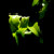 :icongonnaday: