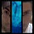 :icongonosuke: