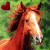 :icongooberethics: