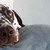 :icongood-for-something: