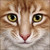 :icongood-sparx-good: