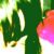 :icongoodfriday: