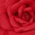 :icongoodhotchocolate: