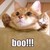 :icongoomerlight: