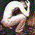 :icongoomy: