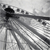 :icongoonphotography:
