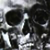 :icongoose-fat:
