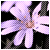:icongoosielala: